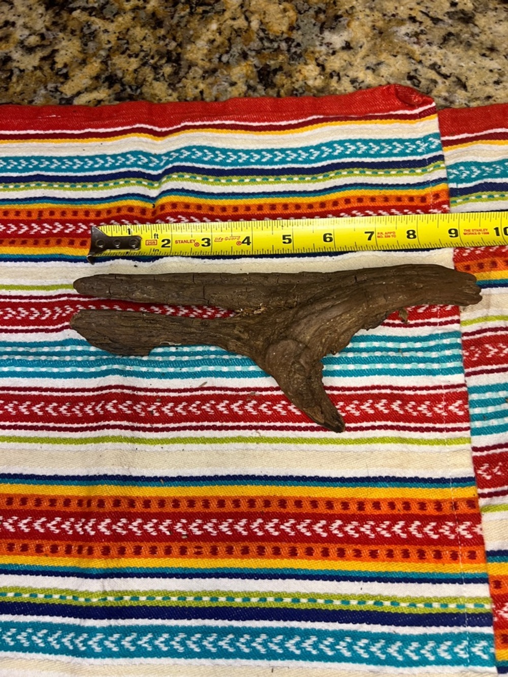 Natural Brown Reptile Driftwood found on James River